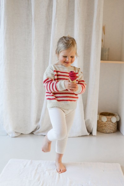 Le Pull (patron livret)