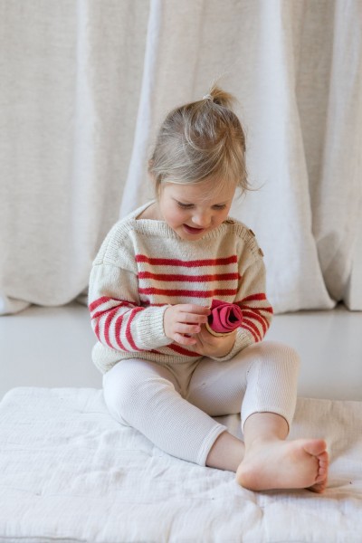 Le Pull (patron livret)