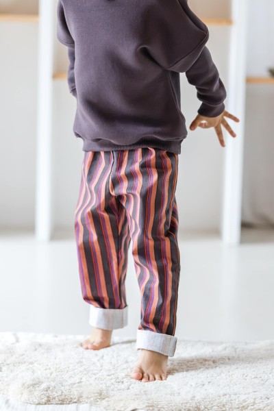 Le Pantalon rayures marron