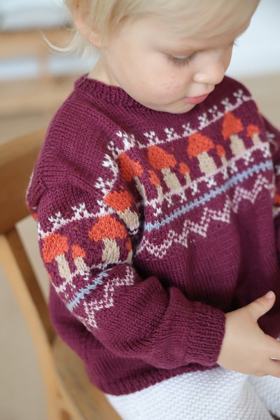 Le pull jacquard (patron livret)